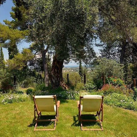 Bellivardi Estate * Corfu (city)